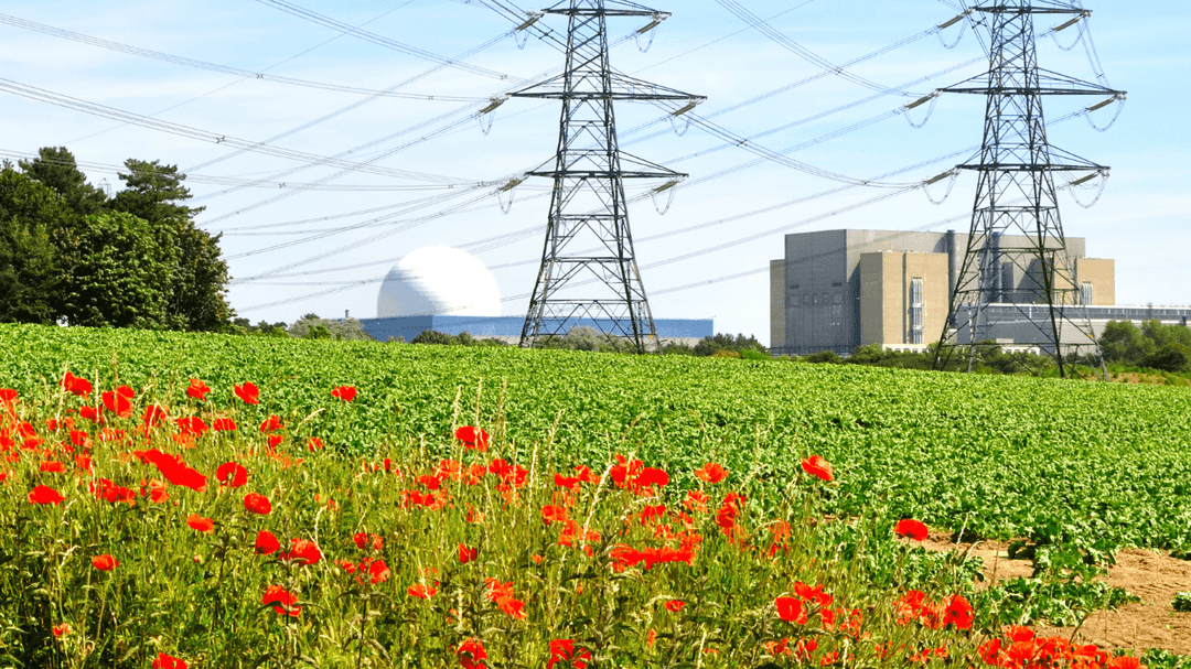 Field of green crops with red poppies in front of electricity pylons and a large industrial power facility under a blue sky